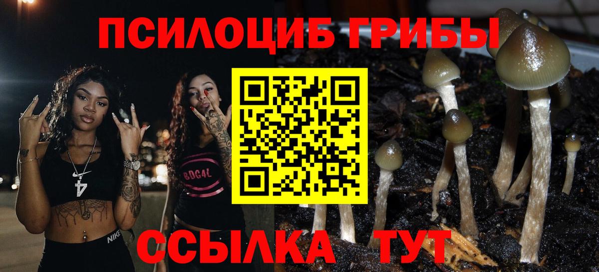 Псилоцибиновые грибы GOLDEN TEACHER Омск