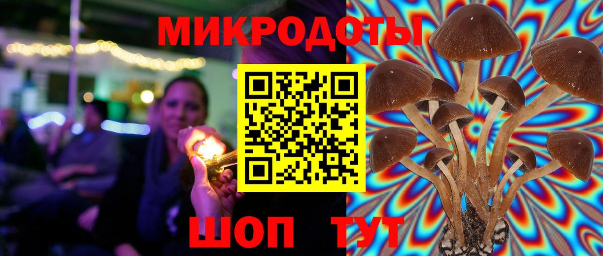 Омск  Псилоцибиновые грибы Psilocybe  Вход с VPN  Псилоцибиновые грибы Psilocybe 